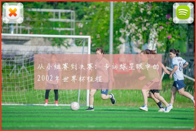 从小组赛到决赛：专访球星眼中的2002年世界杯征程