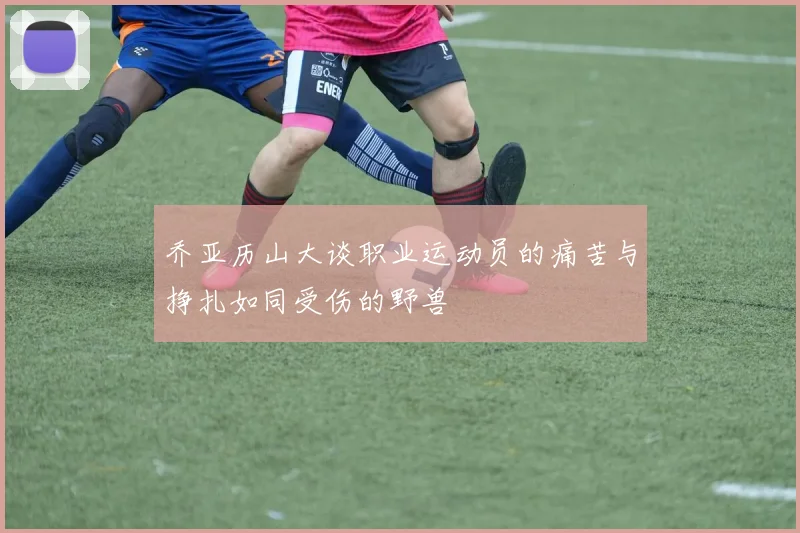 乔亚历山大谈职业运动员的痛苦与挣扎如同受伤的野兽