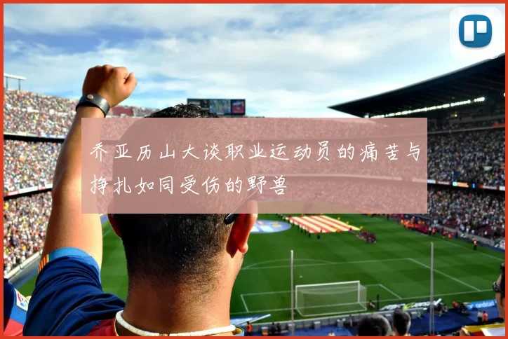 乔亚历山大谈职业运动员的痛苦与挣扎如同受伤的野兽