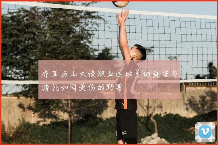 乔亚历山大谈职业运动员的痛苦与挣扎如同受伤的野兽