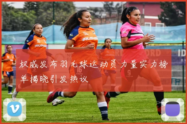 权威发布羽毛球运动员力量实力榜单揭晓引发热议