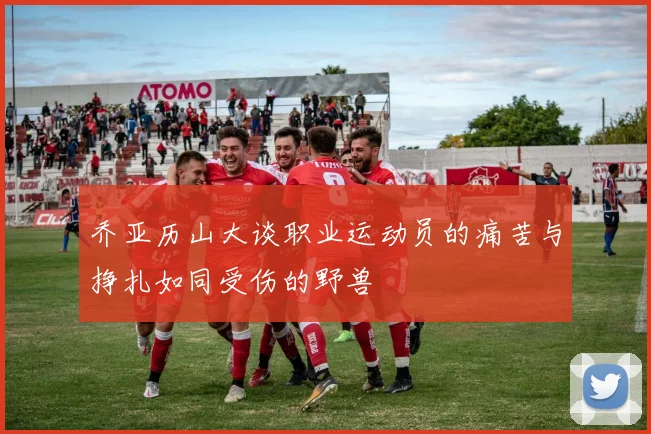 乔亚历山大谈职业运动员的痛苦与挣扎如同受伤的野兽