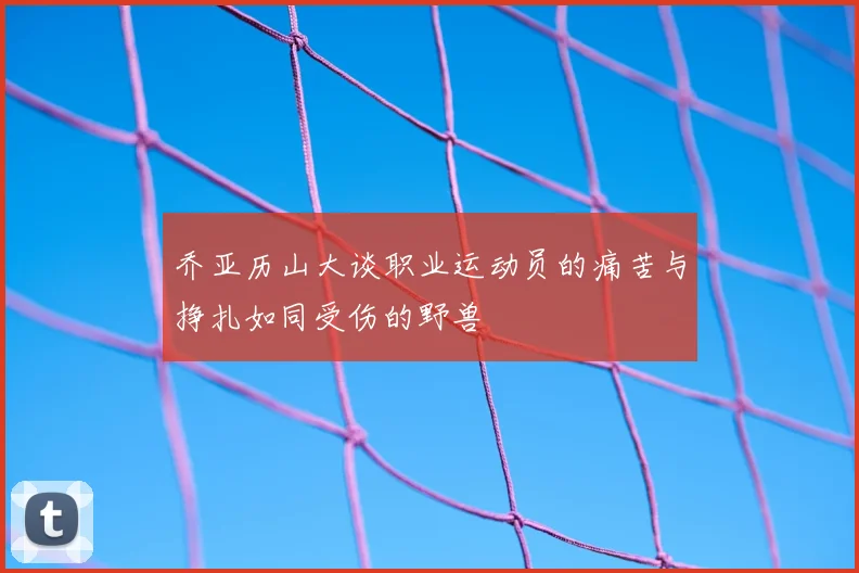 乔亚历山大谈职业运动员的痛苦与挣扎如同受伤的野兽