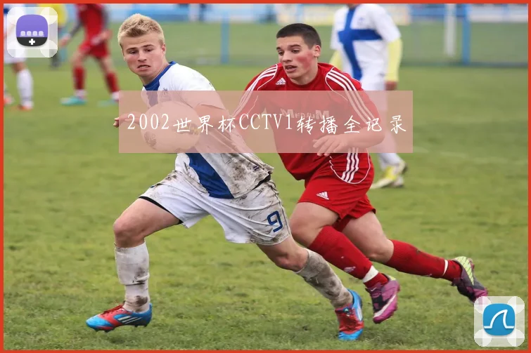 2002世界杯CCTV1转播全记录