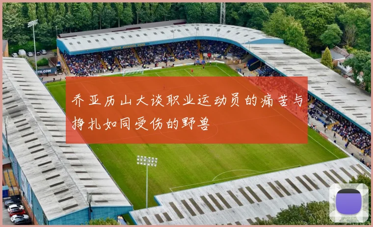乔亚历山大谈职业运动员的痛苦与挣扎如同受伤的野兽