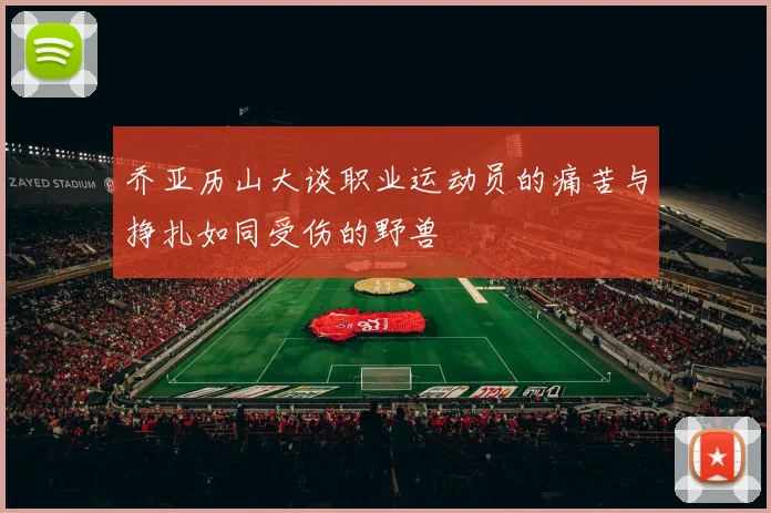 乔亚历山大谈职业运动员的痛苦与挣扎如同受伤的野兽