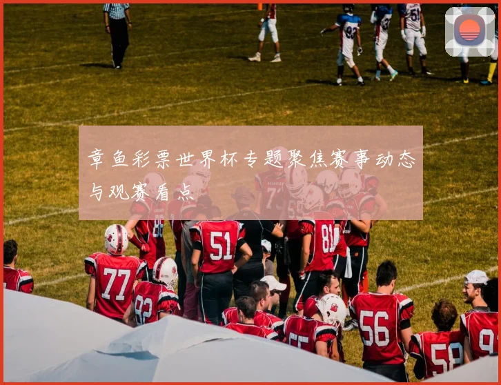 章鱼彩票世界杯专题聚焦赛事动态与观赛看点