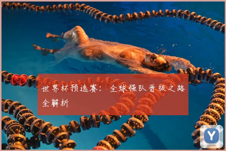 世界杯预选赛：全球强队晋级之路全解析