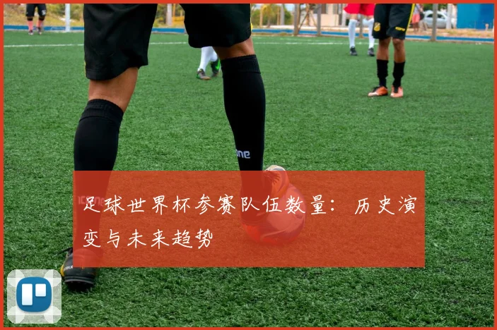 足球世界杯参赛队伍数量：历史演变与未来趋势