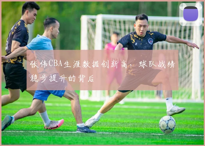 张伟CBA生涯数据创新高，球队战绩稳步提升的背后