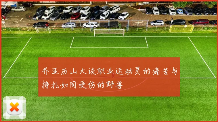 乔亚历山大谈职业运动员的痛苦与挣扎如同受伤的野兽