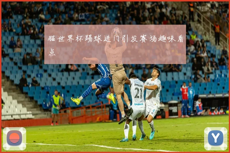 猫世界杯踢球进门引发赛场趣味看点