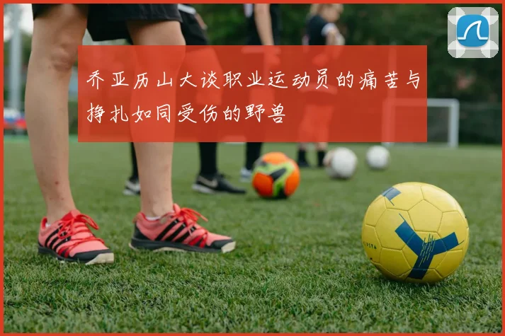 乔亚历山大谈职业运动员的痛苦与挣扎如同受伤的野兽