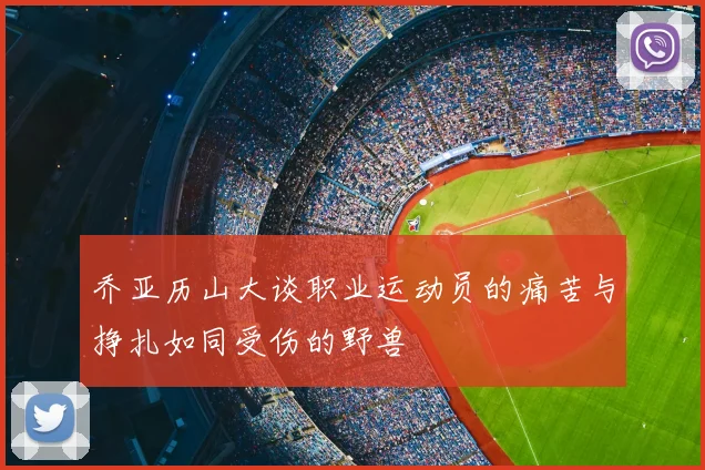 乔亚历山大谈职业运动员的痛苦与挣扎如同受伤的野兽
