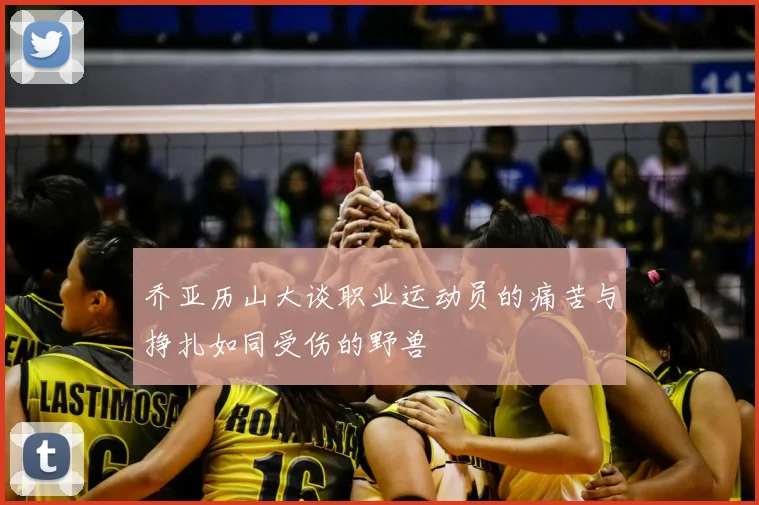 乔亚历山大谈职业运动员的痛苦与挣扎如同受伤的野兽