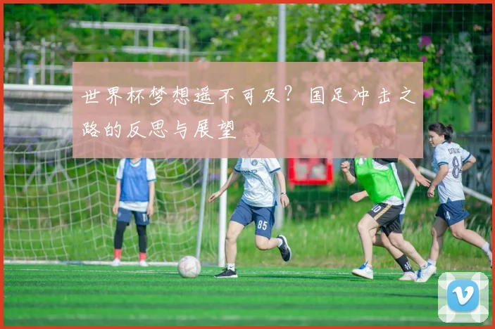世界杯梦想遥不可及？国足冲击之路的反思与展望