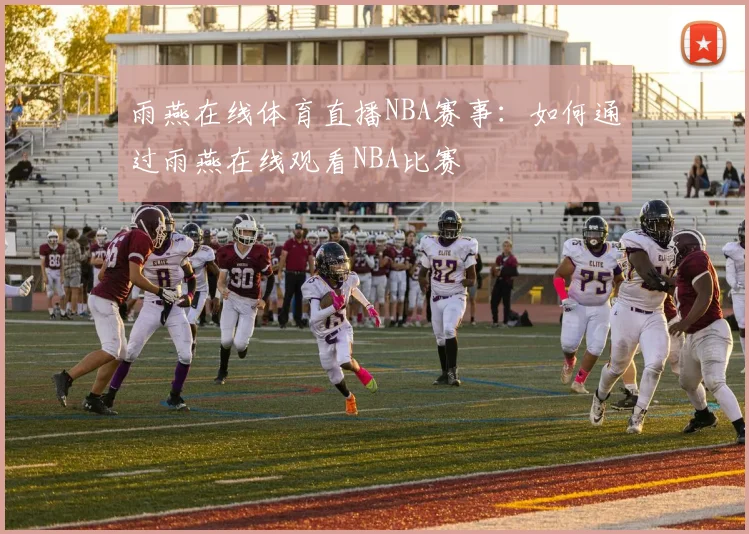 雨燕在线体育直播NBA赛事:如何通过雨燕在线观看NBA比赛