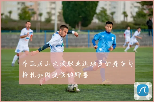 乔亚历山大谈职业运动员的痛苦与挣扎如同受伤的野兽