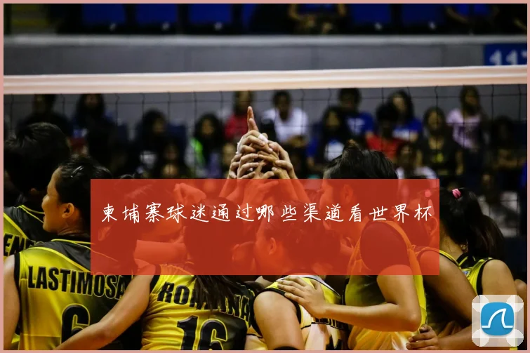 柬埔寨球迷通过哪些渠道看世界杯