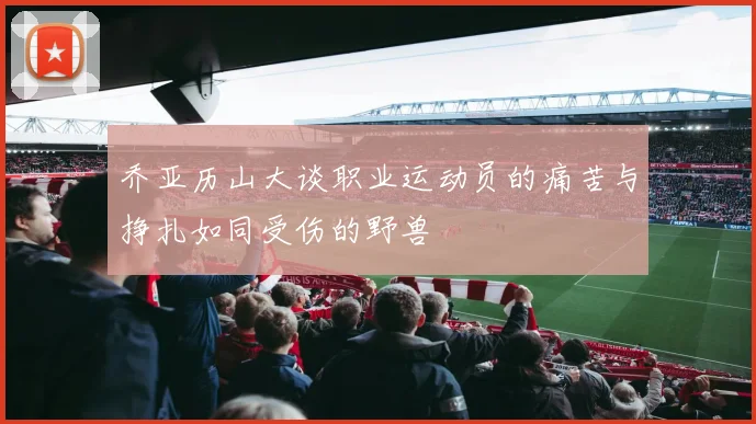 乔亚历山大谈职业运动员的痛苦与挣扎如同受伤的野兽