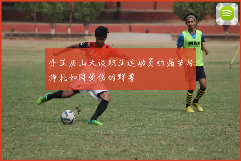 乔亚历山大谈职业运动员的痛苦与挣扎如同受伤的野兽