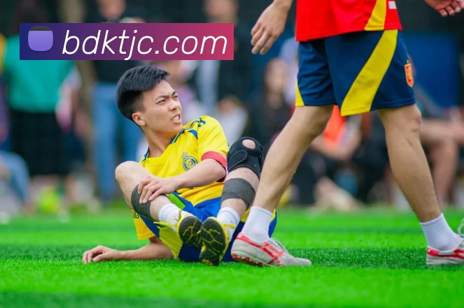 九游会·j9官网平台生态图